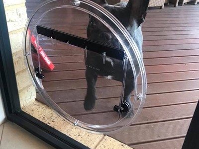 Pet Door Specialist